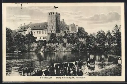 AK Flechtingen, Burg Flechtingen, Nordseite