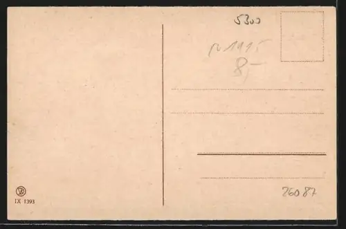 AK Bonn, Ansicht der Rheinbrücke