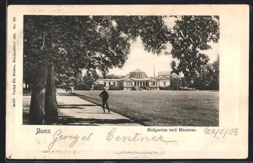 AK Bonn, Hofgarten und Museum