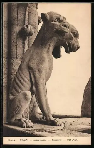 AK Paris, Notre-Dame, Chimères