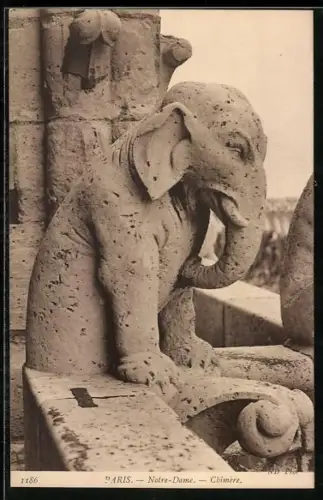 AK Paris, Cathédrale Notre-Dame, Chimère
