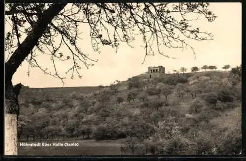 AK Höhnstedt über Halle /Saale, Hügel mit Gebäude und Obstbäumen