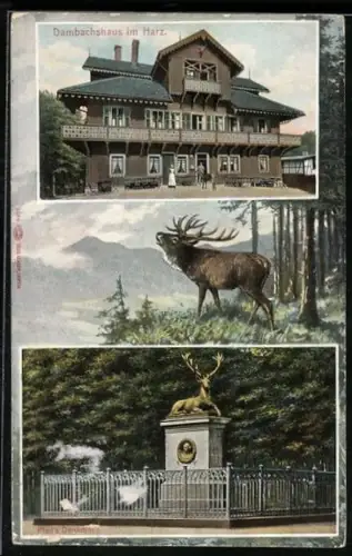 AK Dambachshaus im Harz, Gasthaus Dambachshaus, Hirsch, Denkmal