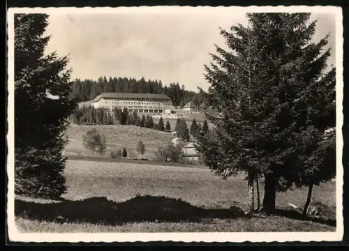 AK Falkau /Altglashütten, Kindergesundungsstätte Schuppenhörnle