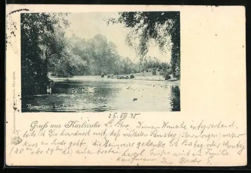 AK Karlsruhe, Tiergartensee mit Enten