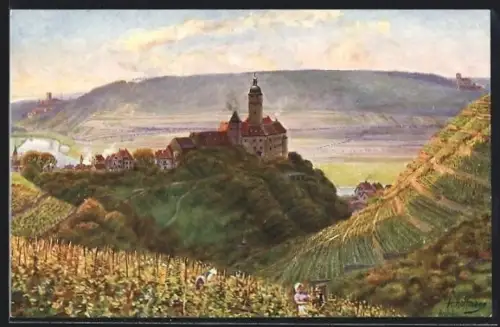 AK Gundelsheim a. N., Schloss Hornegg, Guttenberg und Ehrenfels, Dreiburgenblick