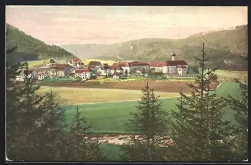AK Beuron im Donautal, Ortsansicht, Kloster Beuron, Landschaft