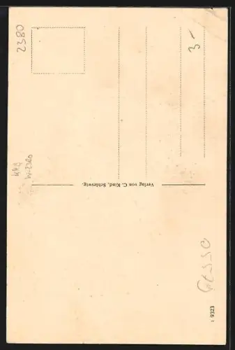 AK Schleswig, Runenstein