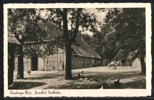 AK Heber /Lüneburger Heide, Bauernhof Brockheber