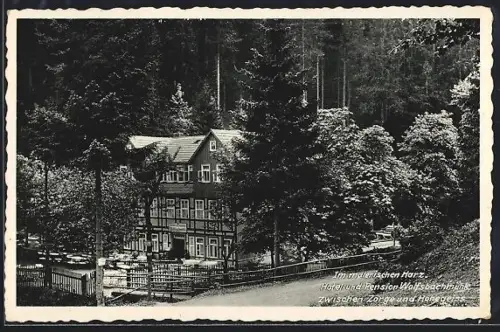 AK Zorge, Hotel und Pension Wolfsbachmühle aus der Vogelschau, mit Garten