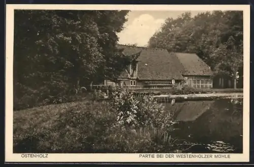AK Ostenholz, Partie bei der Westenholzer Mühle