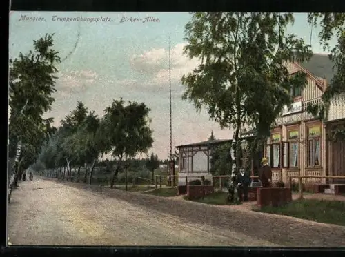 AK Munster, Truppenübungsplatz, Birken-Allee