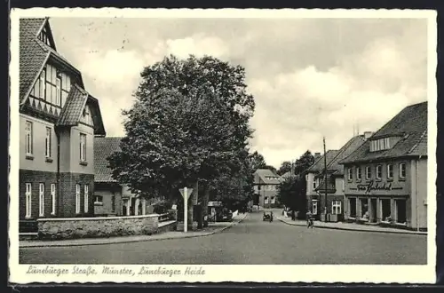 AK Munster /Lüneburger Heide, Lüneburger Strasse