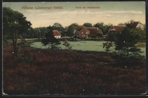 AK Munster /Lüneburger Heide, Motiv am Mühlenteich