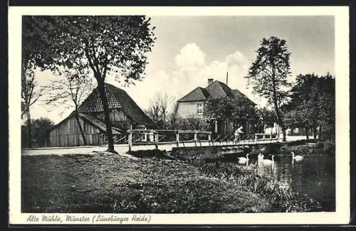 AK Munster /Lüneburger Heide, Alte Mühle