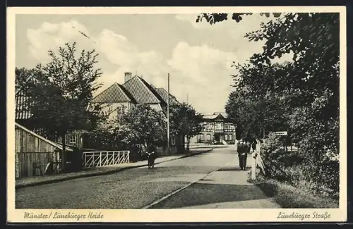 AK Munster /Lüneburger Heide, Lüneburger Strasse