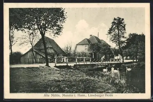 AK Munster i. Hann., Alte Mühle