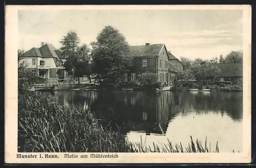 AK Munster i. Hann., Motiv am Mühlenteich