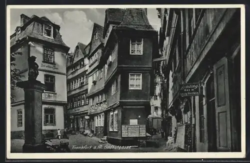 AK Alt-Frankfurt, Goldhutgasse, Denkmal, Gasthaus Zur wilden Frau