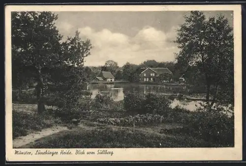 AK Munster /Lüneburger Heide, Blick vom Süllberg