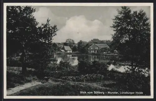 AK Munster /Lüneburger Heide, Blick vom Süllberg, Teich, Bauernhäuser
