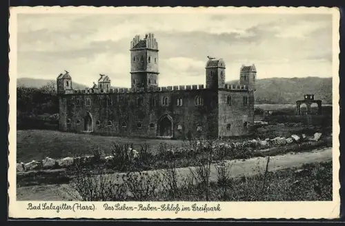 AK Bad Salzgitter /Harz, Sieben-Raben-Schloss im Greifpark
