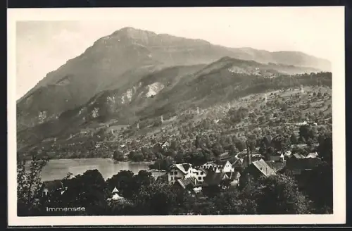 AK Immensee, Ortsansicht aus der Vogelschau