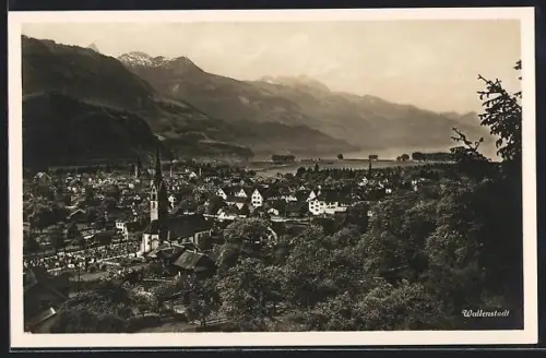 AK Wallenstadt, Gesamtansicht mit Umgebung von einer Anhöhe aus