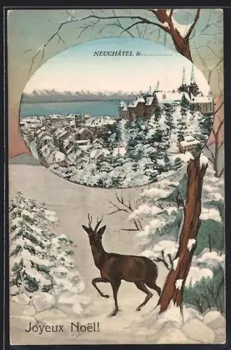 AK Neuchâtel, Vue Générale