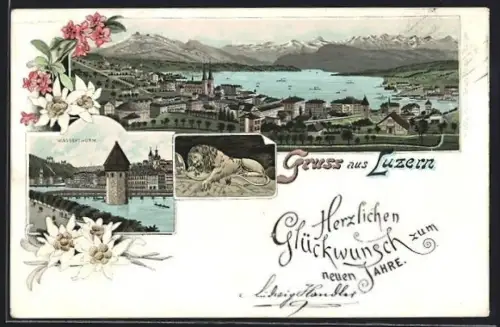 Lithographie Luzern, Wasserturm, Gesamtansicht, Edelweiss