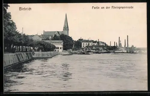 AK Biebrich, Partie an der Rheinpromenade