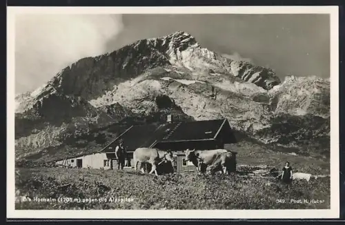 AK Lenggries, Hochalm, Alpenszenerie mit Almhütte und Vieh