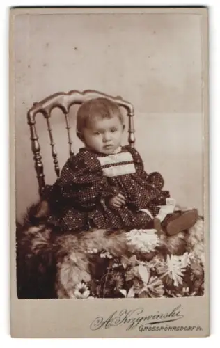 Fotografie A. Krzywinski, Grossröhrsdorf, Grossmannstrasse, Porträt eines Kindes auf einem antiken Stuhl