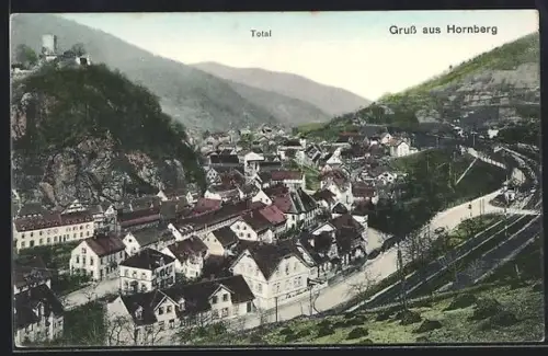 AK Hornberg, Gesamtansicht, Burg, Tal