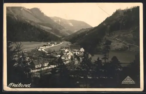 AK Freiland, Teilansicht mit Strassenpartie