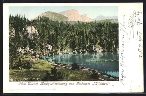 AK Siebensee, Neue Wiener Hochquellenleitung Wildalpe, See mit Wald und Bergkulisse