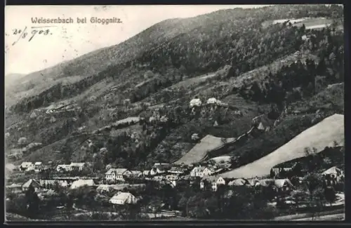 AK Weissenbach bei Gloggnitz, Ortsansicht
