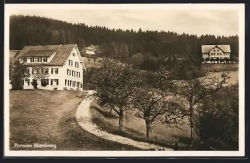 AK Schweigmatt, Pension Blumberg mit Umgebung, Bes. Karl Klemm