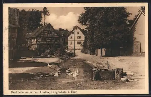 AK Langenhain i. Thür., Dorfpartie unter den Linden mit Enten