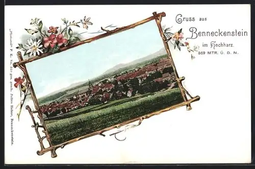 AK Benneckenstein, Ortsansicht