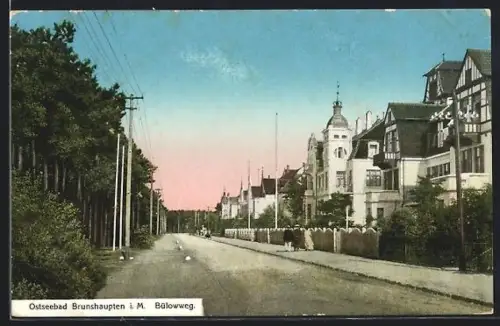 AK Brunshaupten i. M., Partie im Bülowweg mit anliegendem Wald