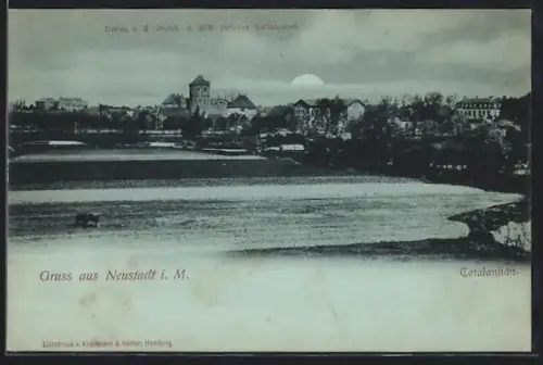 Mondschein-AK Neustadt i. M., Totalansicht