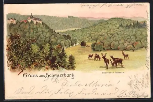 Lithographie Schwarzburg, Schloss, Blick von der Terrasse, Rotwild im Tal
