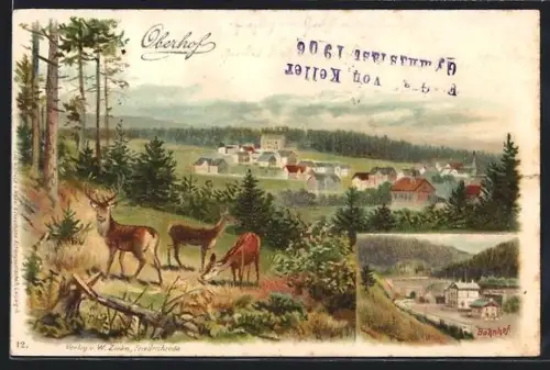 AK Oberhof, Ortsansicht, Wildtiere, Bahnhof