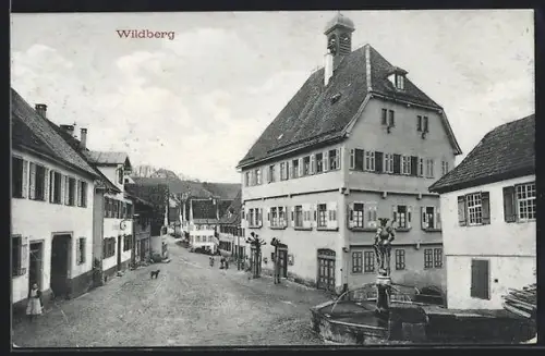 AK Wildberg, Strassenansicht mit Brunnen und historischem Gebäude