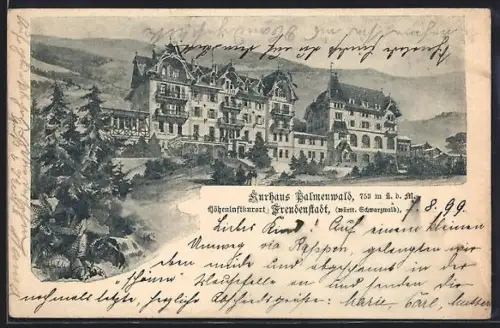 Lithographie Freudenstadt /Württ. Schwarzwald, Kurhaus Palmenwald