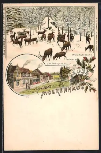 Lithographie Harzburg, Gasthaus Molkenhaus, Wildfütterung im Winter