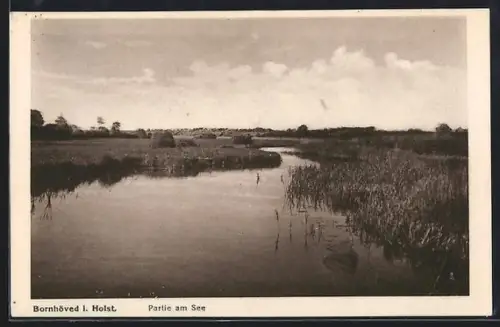AK Bornhöved i. Holst., Partie am See