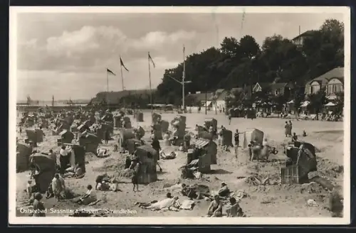 AK Sassnitz a. Rügen, Ostseebad, Strandleben