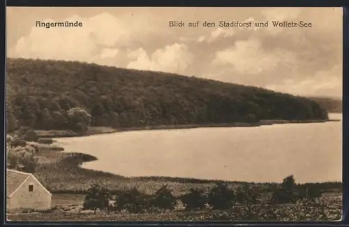 AK Angermünde, Blick auf den Stadtforst und Wolletz-See